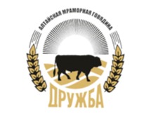 Логотип СПО ССПК «ДРУЖБА»