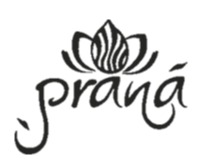 Логотип Prana