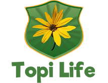 Логотип Topi Life 